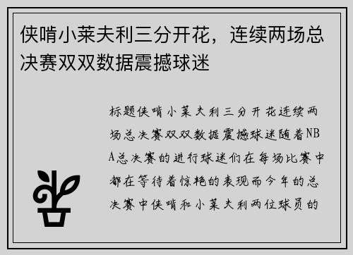 侠啃小莱夫利三分开花，连续两场总决赛双双数据震撼球迷