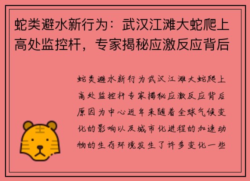蛇类避水新行为：武汉江滩大蛇爬上高处监控杆，专家揭秘应激反应背后原因